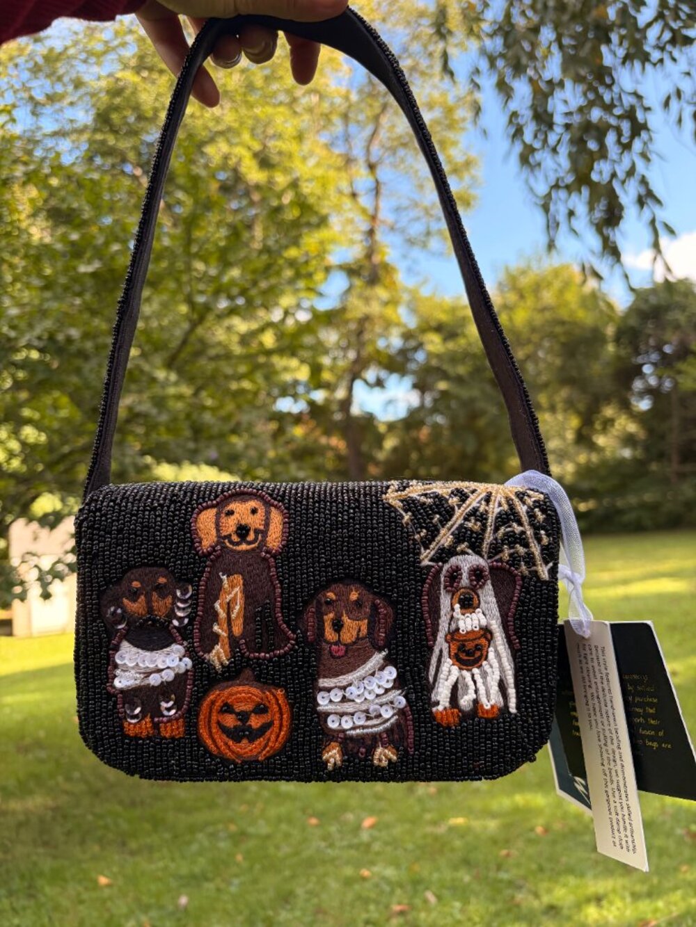 NWT Viral Halloween Beaded Spooky Dogs Bag Spiderweb and Daschunds - Picture 2 of 7